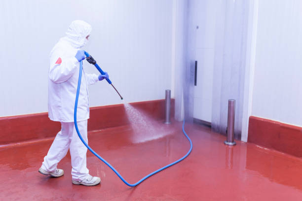 Reliable Mclendon Chisholm, TX Pressure Washing Services Solutions